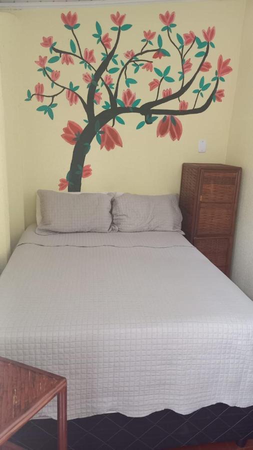 Hostel Sol Da Barra Σαλβαντόρ Εξωτερικό φωτογραφία