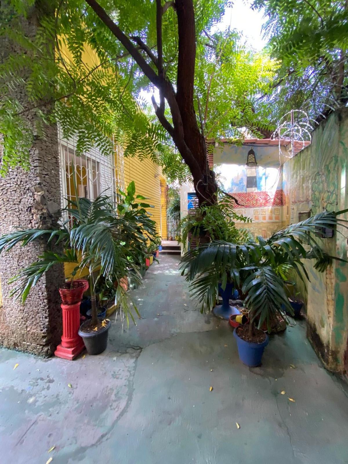Hostel Sol Da Barra Σαλβαντόρ Εξωτερικό φωτογραφία